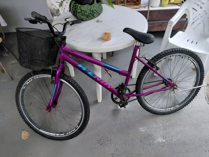 Bicicleta