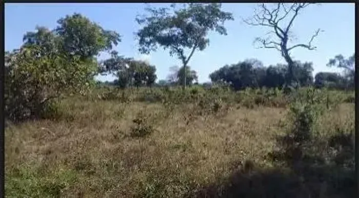 Fazenda à venda na região do Prata - MT