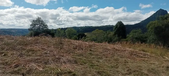 Chacra a venda 3 hectares 