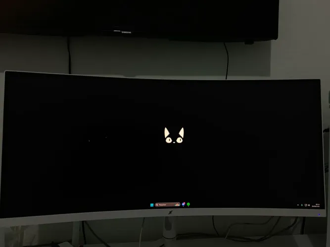 Monitor UltraWide
