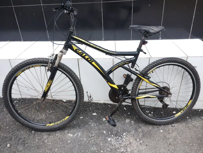 Bicicleta