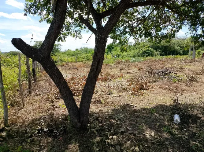 Lote/Terreno para venda com 3500 metros quadrados em Zona Rural - Barreirinhas - Maranhão