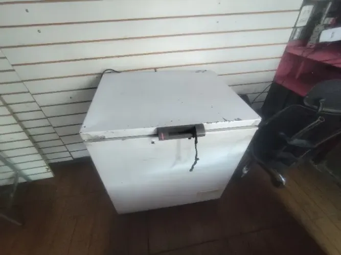 Freezer horizontal