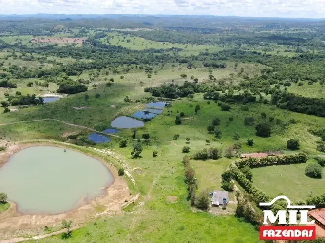 Fazenda de 148 alqueires (718 hectares) em Araguapaz GO