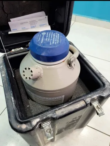 Cilindro com box de proteção p Inseminação Artificial 