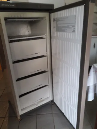 Freezer Prosdócimo vertical uso domestico 127v