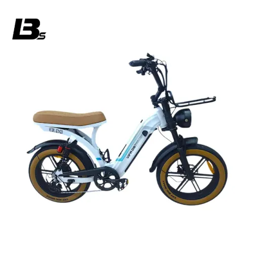 Bicicleta Elétrica Q8