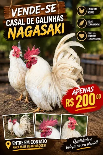 casal de Nagasaki