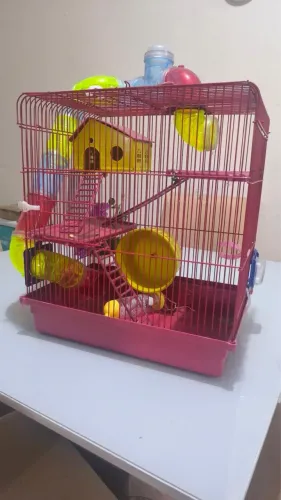 Gaiola para Hamster Grande - Ótimo Estado