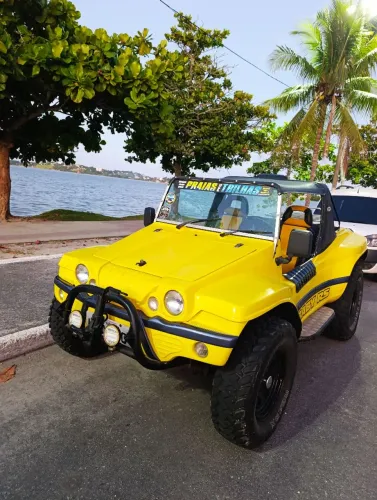 Volkswagen Buggy 1.6 8V Gasolina 2P Manual 2009