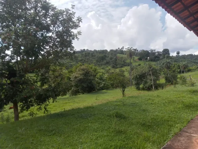 Chácara 3.000 metros 1 km asfalto.