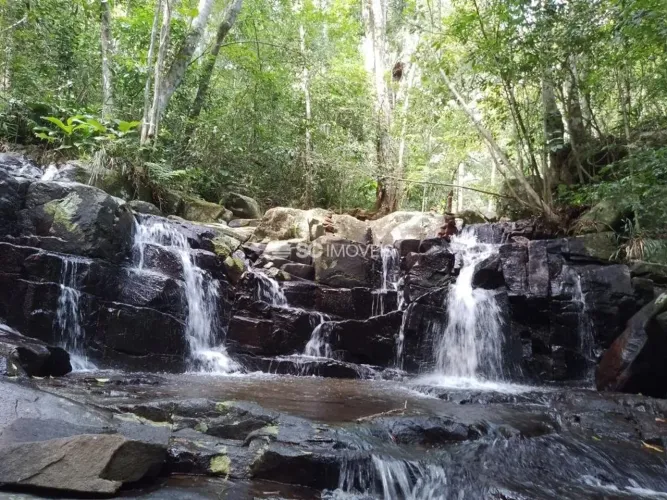 Terrenos à venda no bairro Vargem Grande
