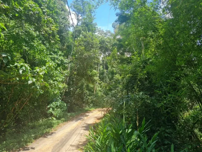 Terreno de 1.242m² à Venda no Recanto Verde em Itapevi  Aceita Permuta!