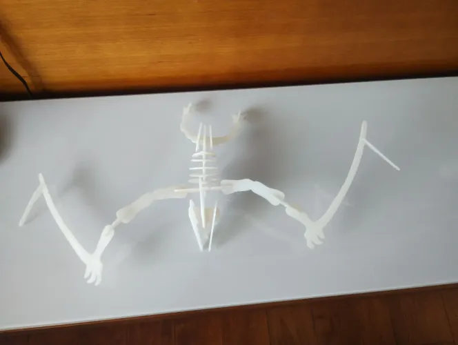 Esqueleto de Pterodáctilo Brilhante