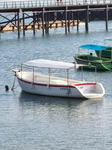 Barco de fibra