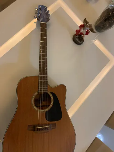 Takamine GD11