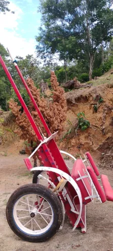 Charrete de passeio - Pague na entrega !!