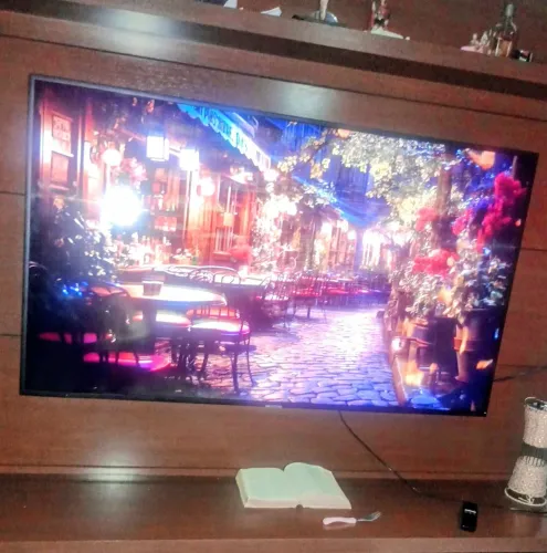 Samsung Smart 55 Pol