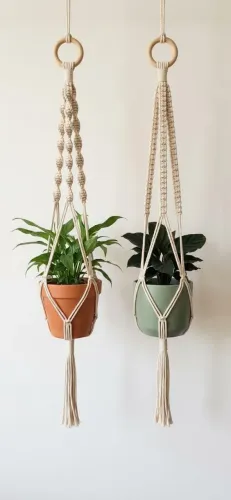 Decoração, jardinagem, plantas