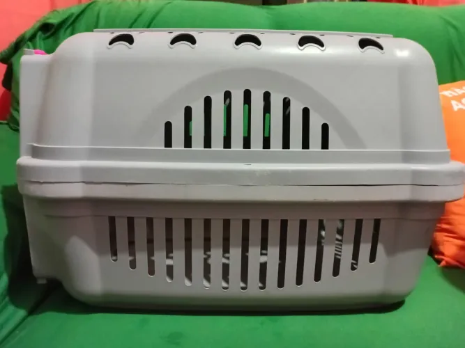 Casinha de cachorro para transporte