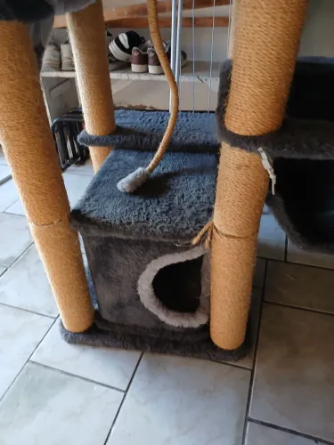 Casa de gatos