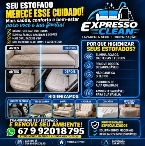 Lavagem a seco e higienização * (Expresso Clean)