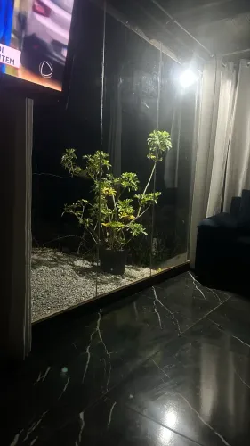 Sítio /vendo