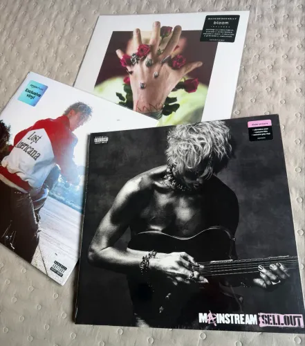 Coleção discos de vinil Mgk 