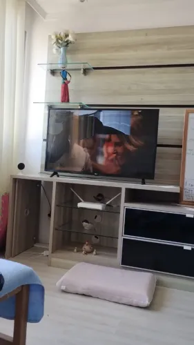tv para conserto