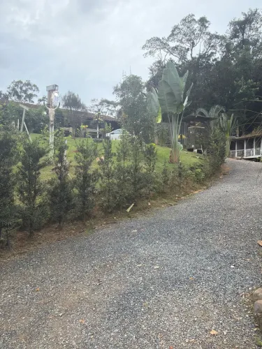 Vaga para caseiro (chacreiro ) casal 