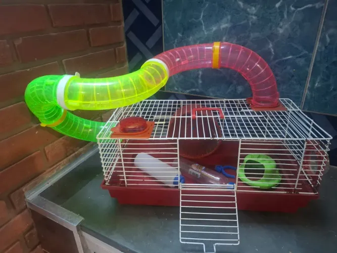 Casinha para hamster 