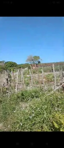 Vendo terreno em santo Amaro,pov Aldeia