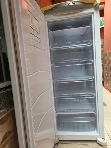 Freezer vertical