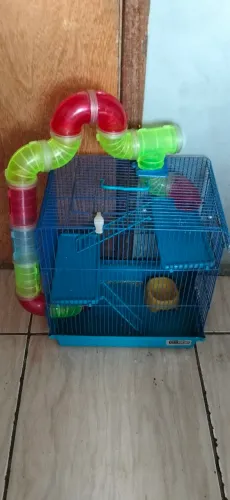 Gaiola de hamster dois andares 