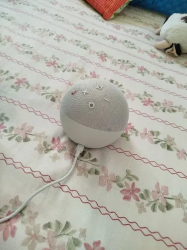 Alexa não usada