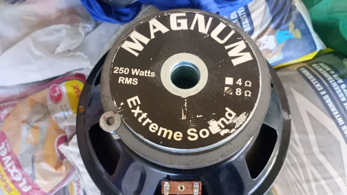 AUTO FALANTE DE 10 POL. 250W
