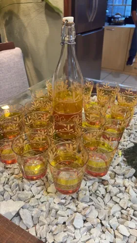 Jogo Refresco Vintage Italiano Cerve Anos 70 - Garrafa + 17 Copos Raro