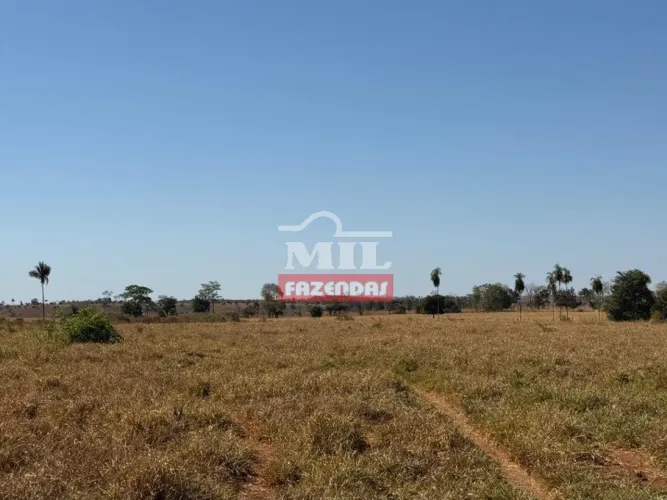 Chácara 17,5 Alqueires (85 hectares) Bom Jesus do Araguaia - MT