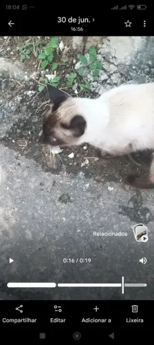 Doação