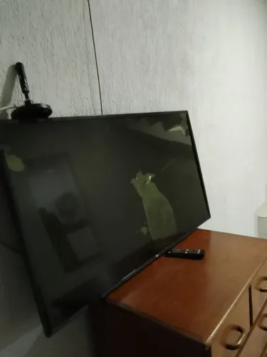 Tv 60 polegadas leia anúncio