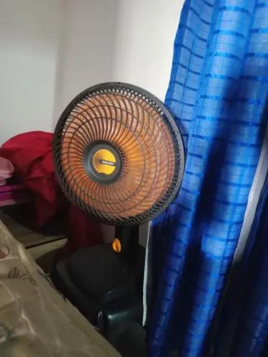 Novo 
