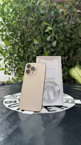 13 PRO 128GB - GOLD 88% BATERIA