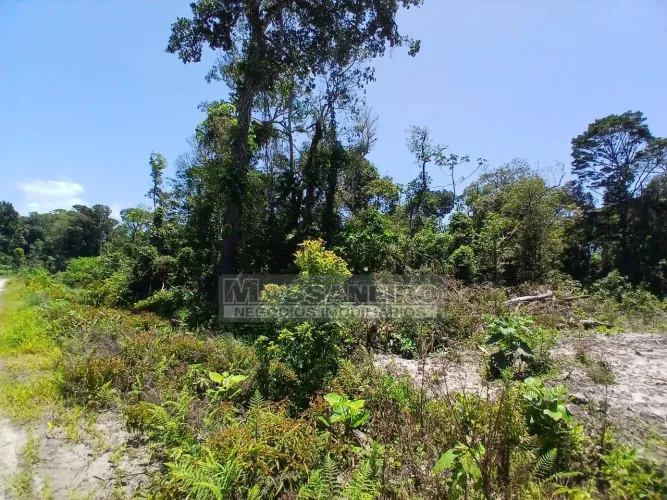 Terreno De Esquina à Venda na Salinas em Bal. Barra do Sul Sc