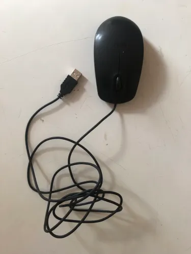 Mouse Dell