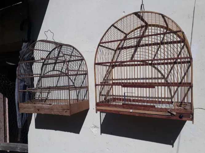 Vendo 2 ótimas gaiolas de belgas. Baratas