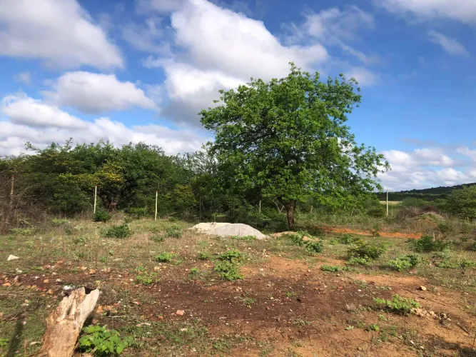 Terreno na ponta da serra 