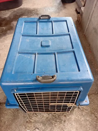 Caixa de transportede  animais de grande porte 