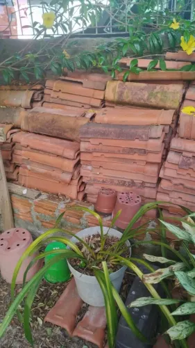 Telhas de cerâmica quadradas - aproximadamente 300 unidades