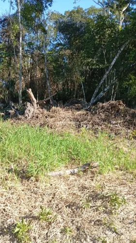 Terrenos à Venda no Balneário Parque Pontal Itapoá/SC