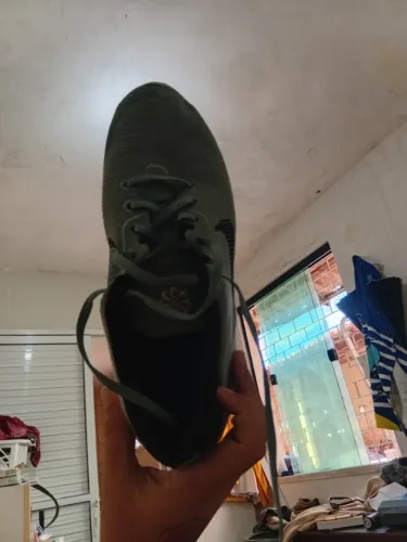 Tenis